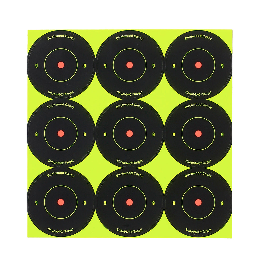 BIR 34210          SHOOT-N-C 2"  BULLSEYE    108PK
