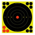 BIR 34825          SHOOT-N-C 8"  BULLSEYE     30PK
