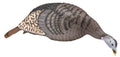 HS 100002            STRUT-LITE FEEDING HEN DECOY