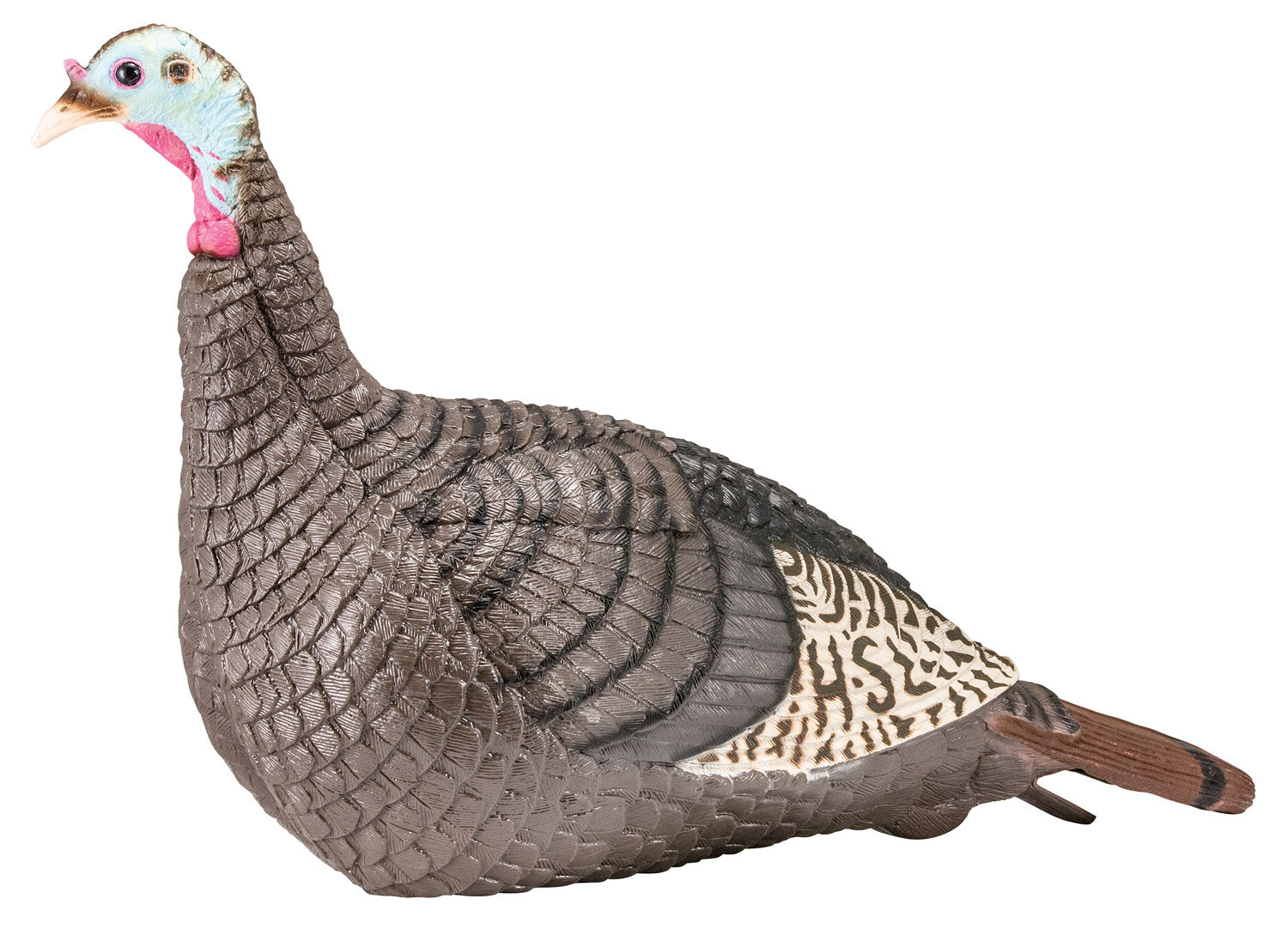 HS 100001            STRUT-LITE HEN DECOY