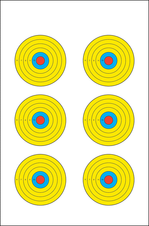 ACTION PRBE6100       VISL 6BLLSYE TARGET    100BX