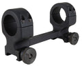 DNZ 111PT   FR-REAP PICT RAIL