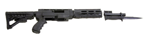 PRO AA556R     ARCHANGEL 1022 CONV STOCK
