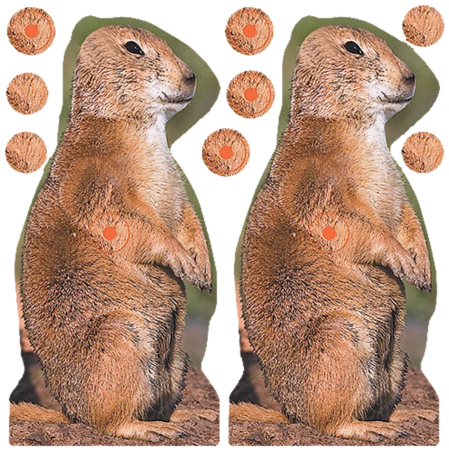 BIR 34786          SHOOT-N-C PRAIRIE CHUCK    12PK