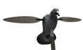 MOJO HW2410   PIGEON           9V  DECOY