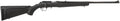 RUG 8301  AMER-RF         22LR     22     BLK/SYN