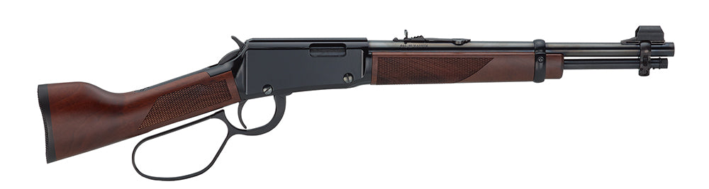 HENRY H001MML    LEVER MARES LEG 22MAG