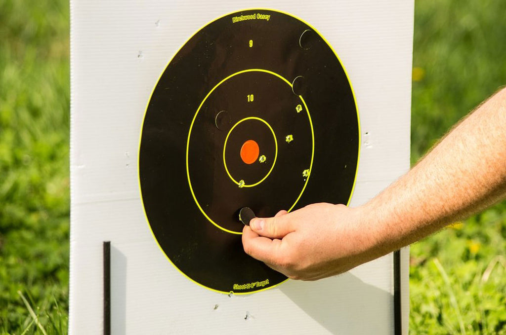 BIR 34825          SHOOT-N-C 8"  BULLSEYE     30PK
