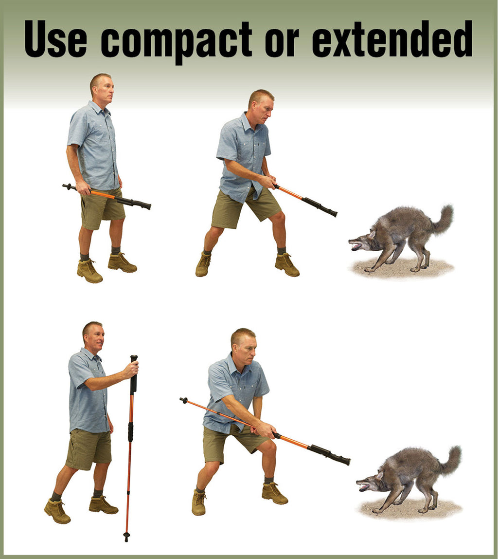 PSPI ZAPHS          ZAP HIKE-N-STRIKE STUN CANE