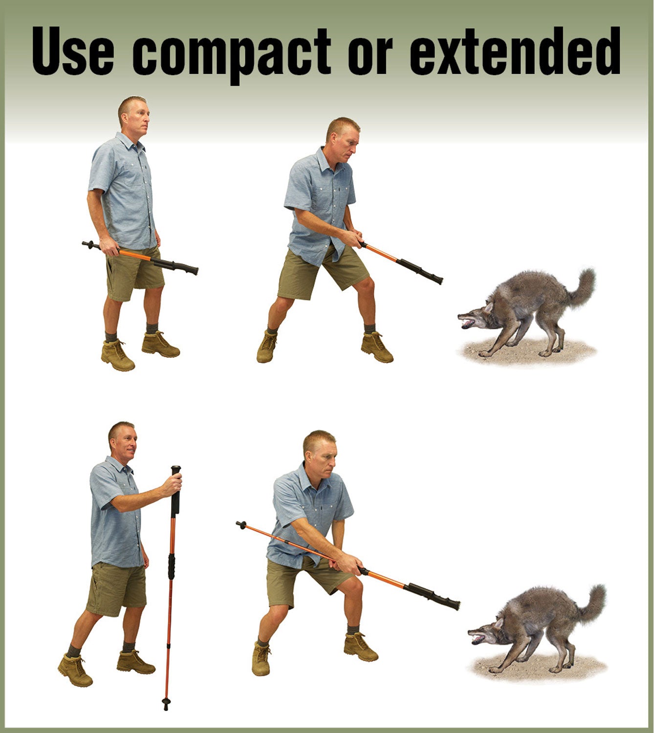 PSPI ZAPHS          ZAP HIKE-N-STRIKE STUN CANE