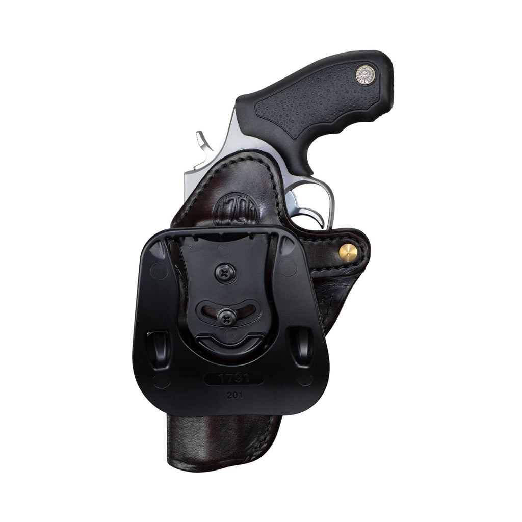 1791 PDH-R2-SBR-R    PADDLE R2   GP100       S.BRN