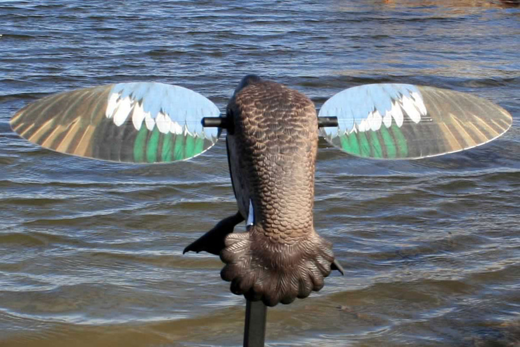 MOJO HW2475   ES BW TEAL