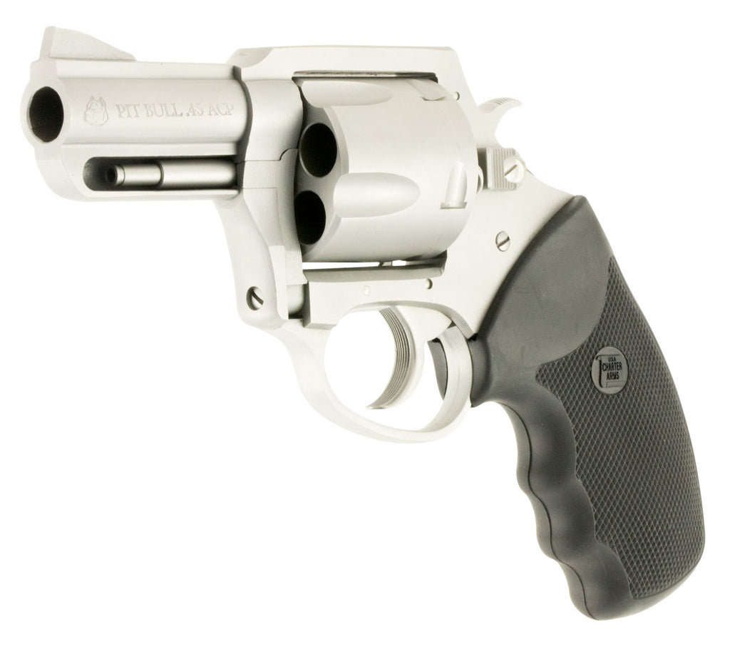 CHA 74520 PITBULL       45ACP 2.5 5SHOT         SS