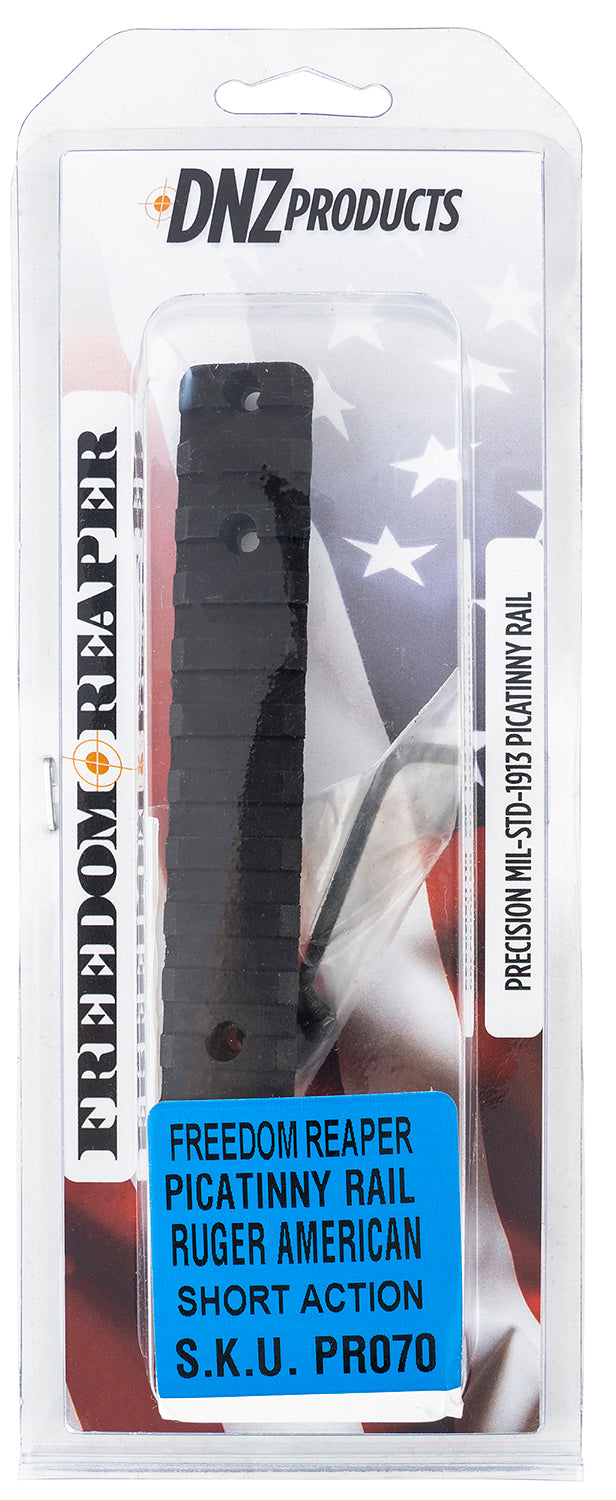 DNZ PR070   RUG AMERICAN SA PICT RAIL