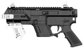 REC PIXPB-01      PIX+BASIC AR PLATFORM GLK BLK