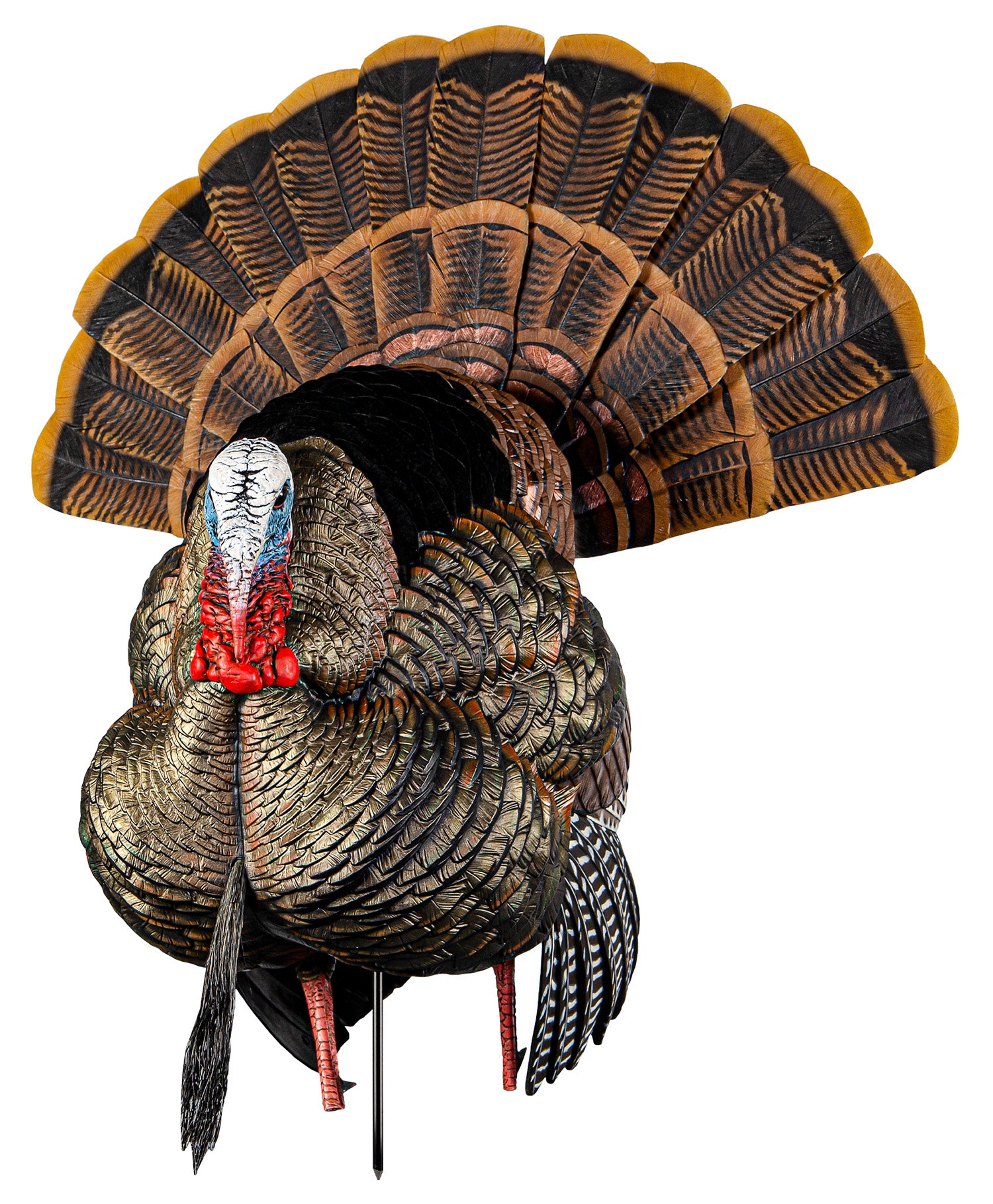 AVIAN AVXAVX8108   AVX HDR STRUTTER         DECOY