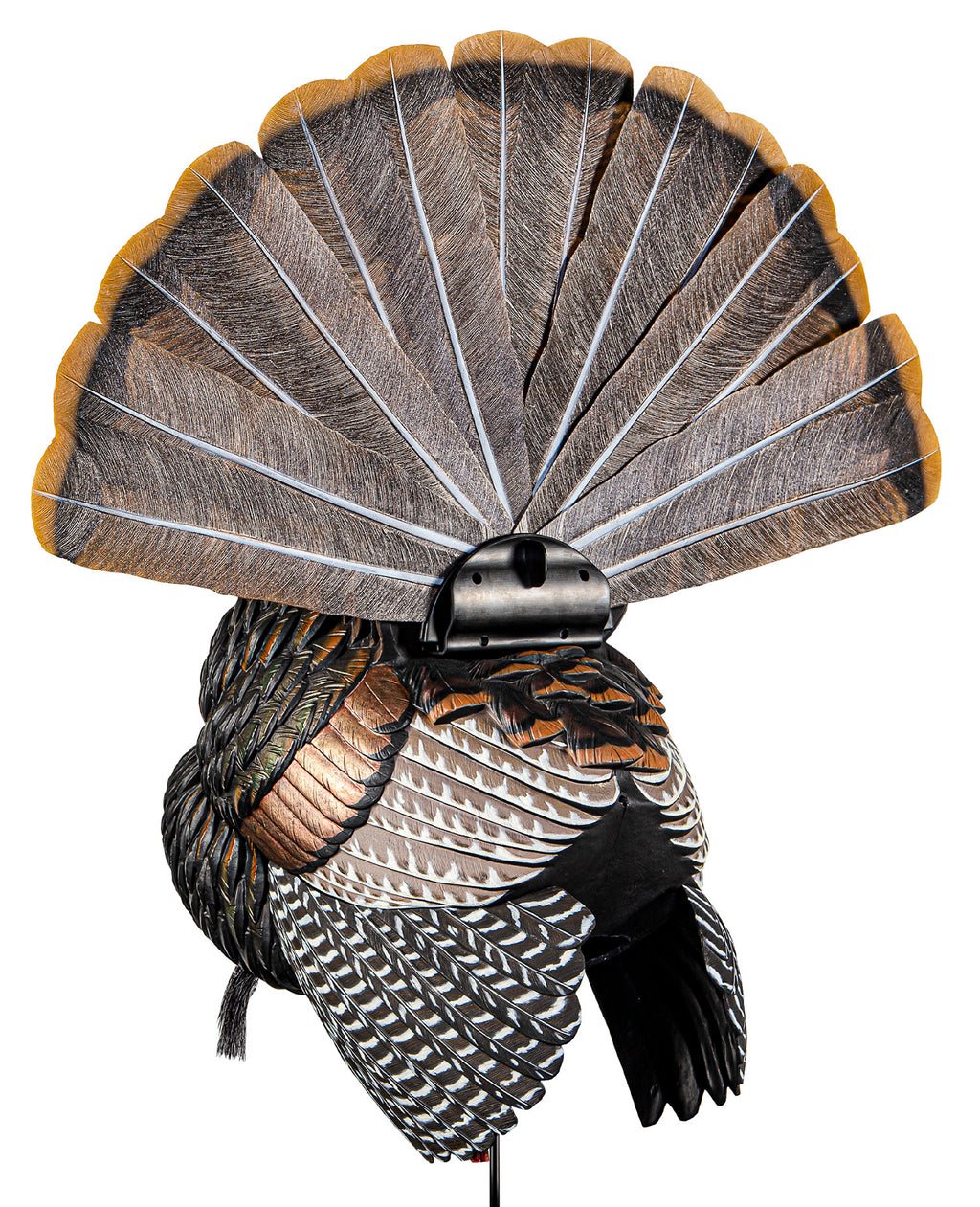 AVIAN AVXAVX8108   AVX HDR STRUTTER         DECOY