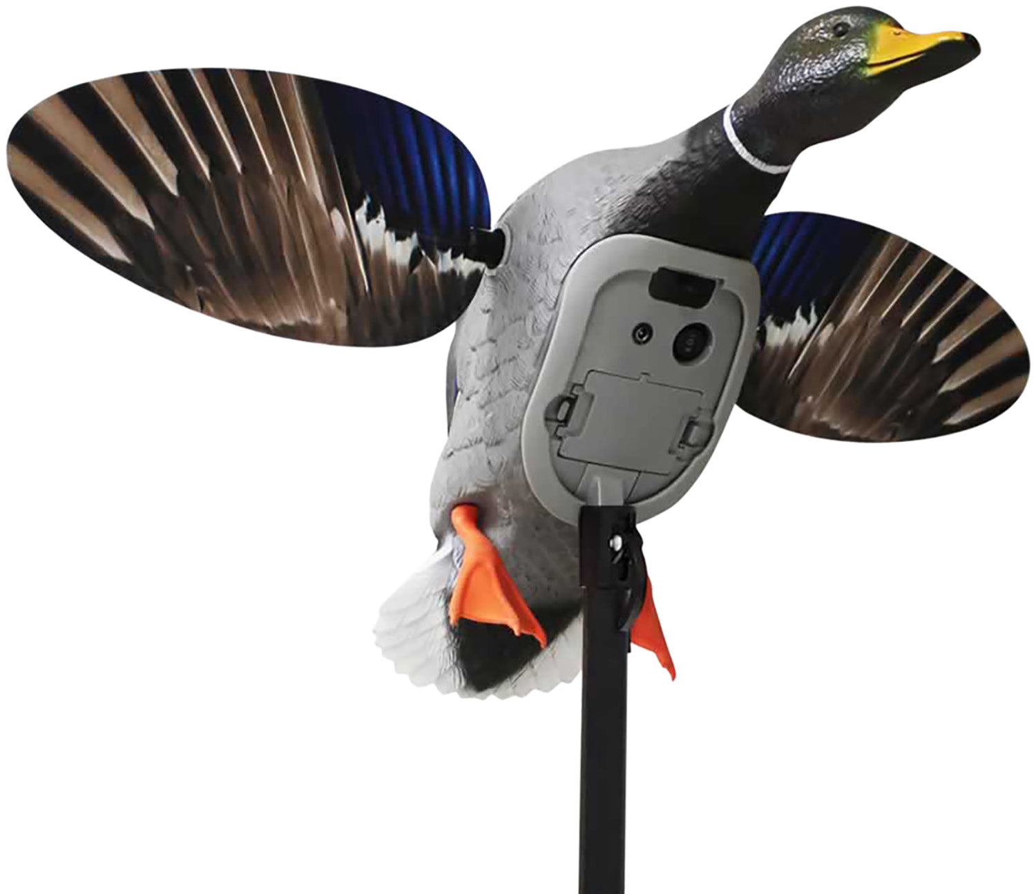 MOJO HW2520   ES KING MALLARD