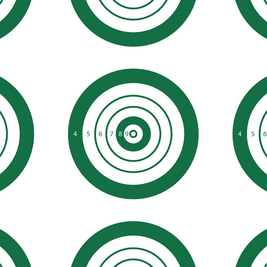 ALLEN 15582   IBS RIMFIRE TARGET  25 PK