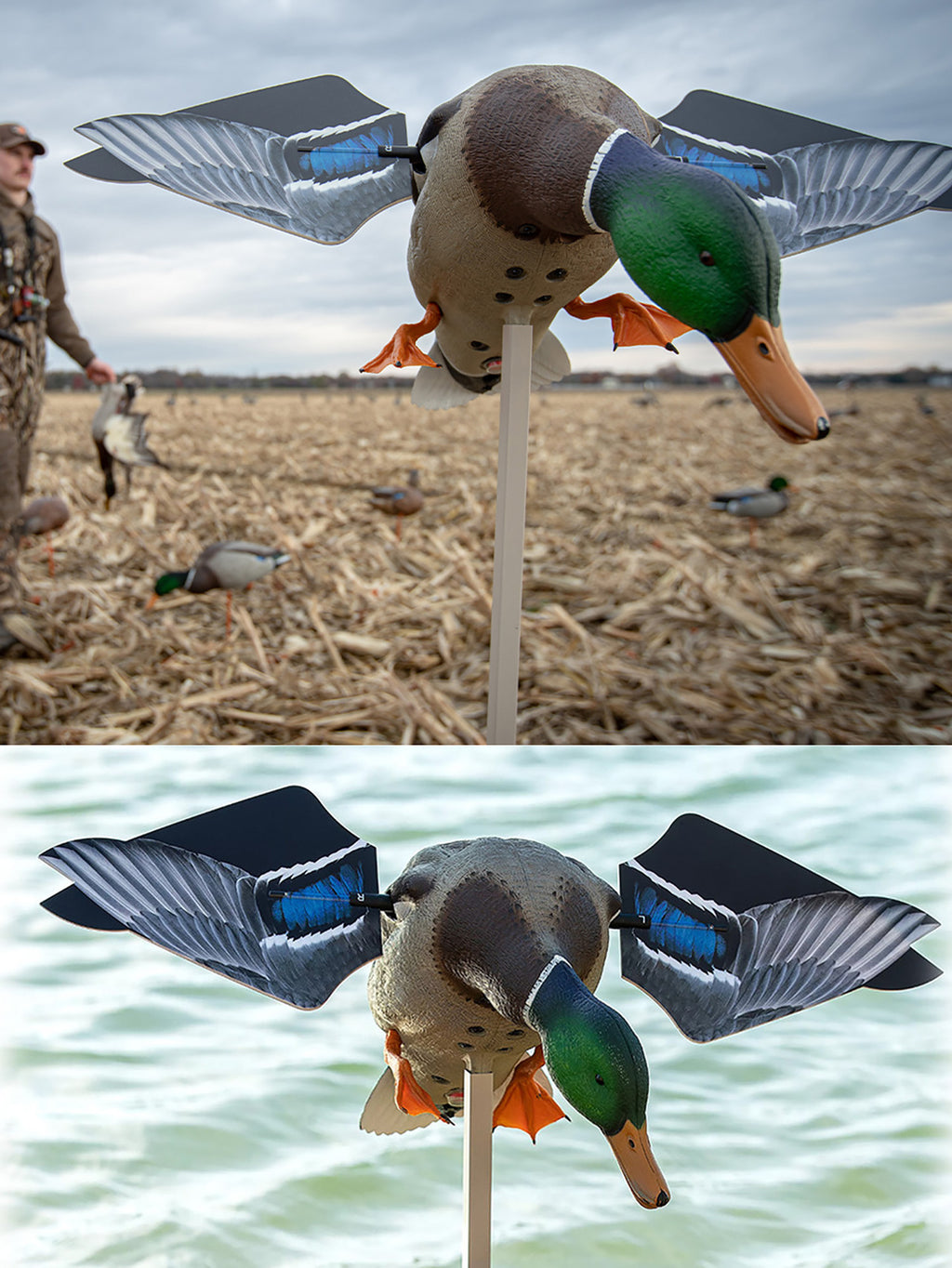 AVIAN AVX-AVXDP100 POWERFLIGHT SMART MOTION MALLRD
