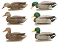 AVIAN AVX-AVX8080  TOPFLIGHT FLOATING BLWING TEAL