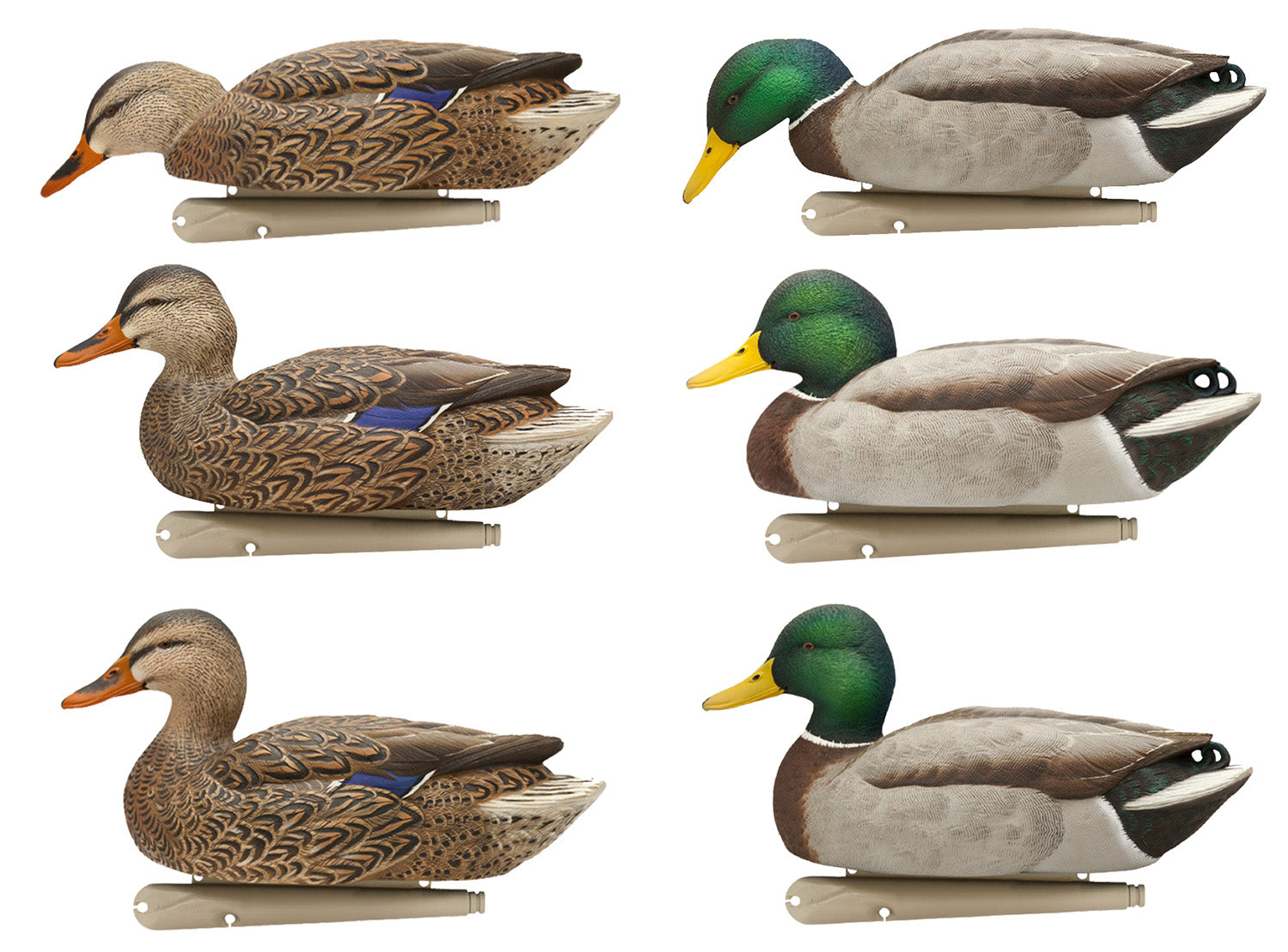 AVIAN AVX-AVX8080  TOPFLIGHT FLOATING BLWING TEAL