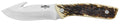 CAM 19247      WEST CROSSTRAIL 4.25" GUTHK  ANTLER