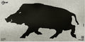 ALLEN 15801  EZ AIM INFRARD ID BOAR 24X12 TRGT
