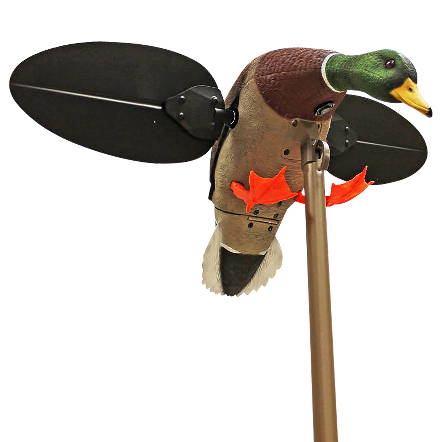MOJO HW2533   MALLARD DRAKE