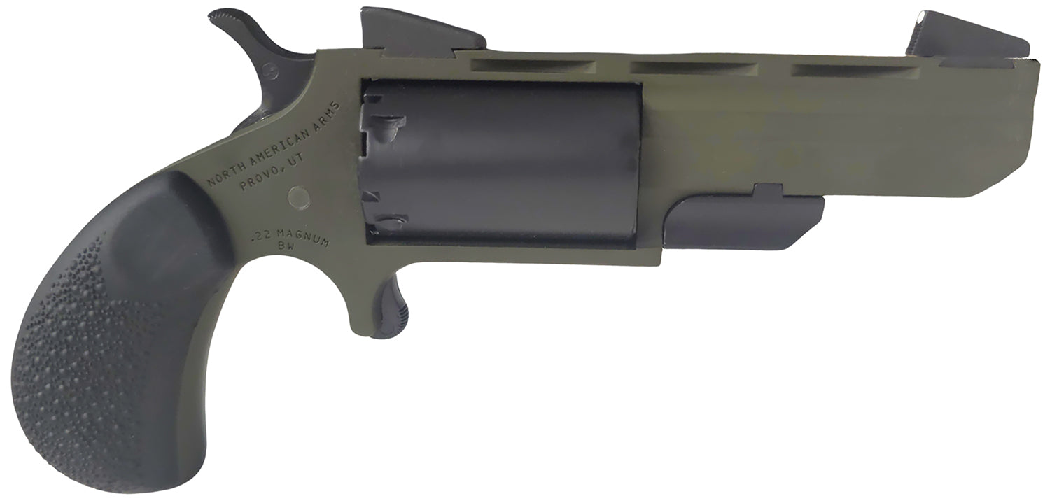 NAA TGH-CB      THE GRN HUNTSMN 22LR/M ODG/BLK