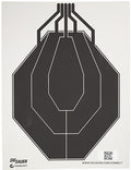 SIG SC-T354     T300 IPS REPLACEMENT TARGET