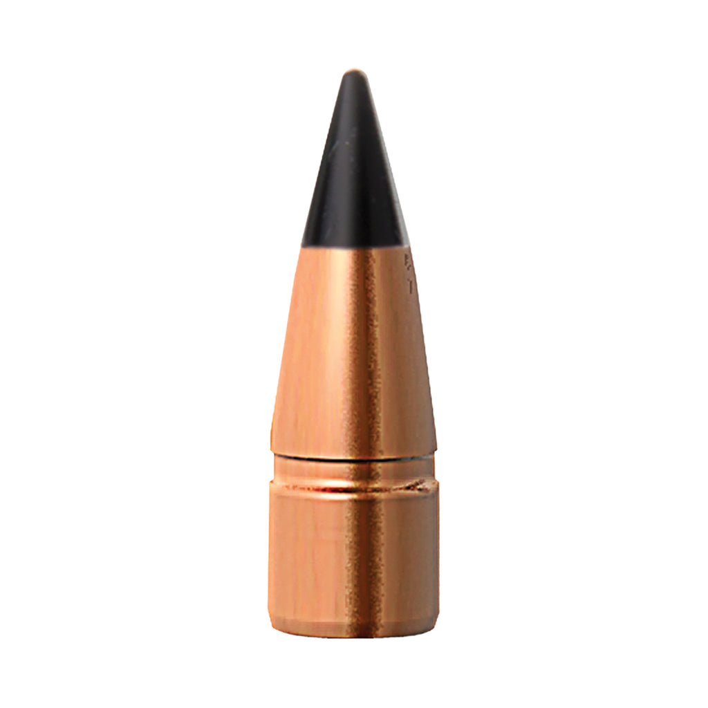 BRNS 30321                .308   110 TAC-TX FB  50