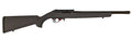 FRNKLN 02-10000-GRY  F22 BINARY RFL  22LR 16" GRY