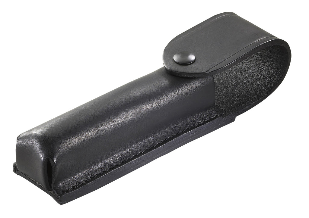 STL 76813  POLYSTINGER DS LED AC/DC