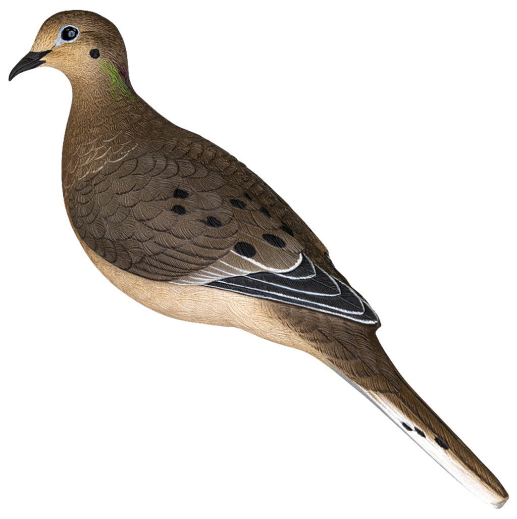 AVIAN AVX-DOVE-6PK  AXP FULL BODY DOVE DECOYS 6PK