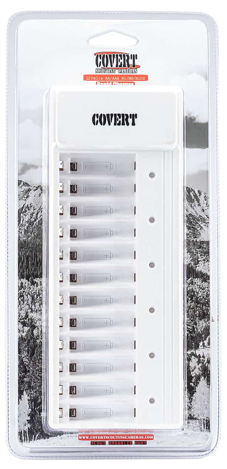 COVERT 2038      12AA-BATTERY CHARGER