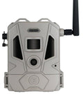BUSH 119904D    CELLUCORE 20 DUAL SIM TAN, BOX