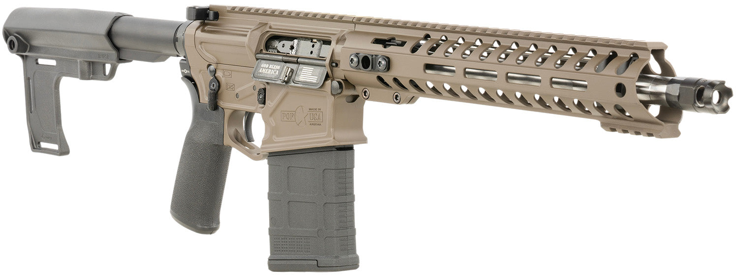POF 1741  ROGUE      BRACE   12.5  20R   308  PBRN