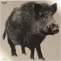 INFRARED-ID RBOARL1     THERM BOAR TARGT
