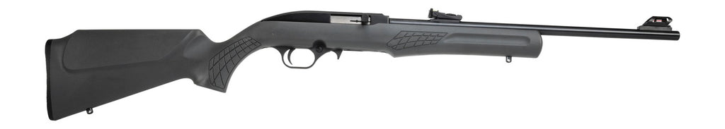 ROSSI RS22L1811G     RS22 22LR 18 10R       BK/GRY